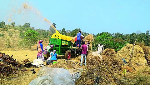 Threshing machines and farmers and laborers while threshing the field.