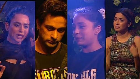 tina dutta, shalin bhanot, saundarya sharma, sumbul touqeer, bigg boss 16