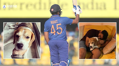 Rohit Sharma Dedicated Fifty To Dog