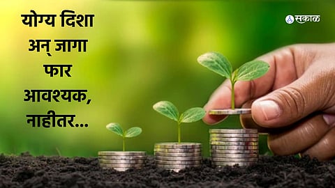 Vastu Plant for Money