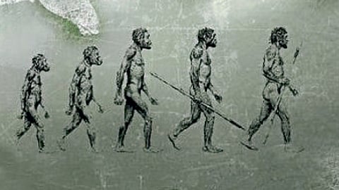 Biological evolution