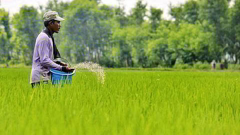 Agriculture input sector