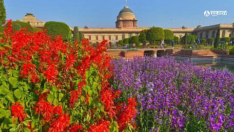 Mughal Garden