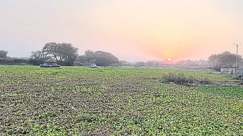 Panveli that has been washed into Godapatra here due to the recently released rotation.