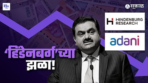 हिंडेनबर्गच्या झळा