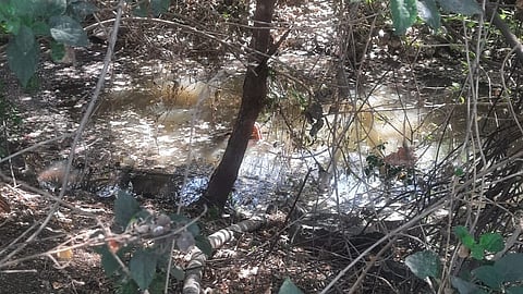 bad river Health issue
