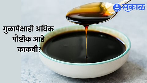 Health Tips : गुळापेक्षाही अधिक पौष्टीक आहे काकवी? काय आहेत फायदे जाणून घ्या!
