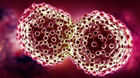 symptoms of cancer
