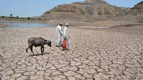 thirsty animals run to human settlements