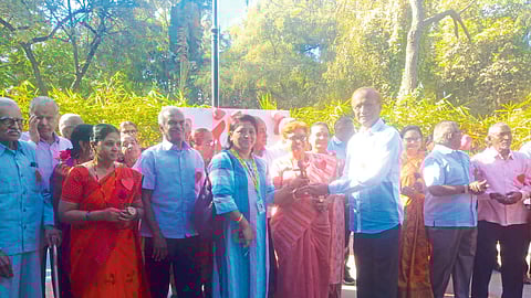 valentine day of old people