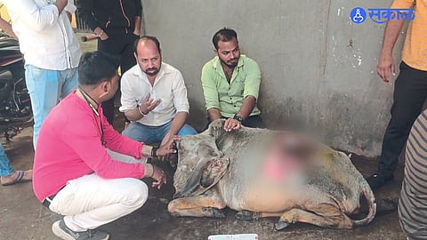 40 kg plastic remove