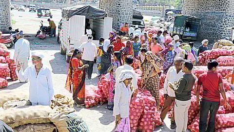 On the occasion of Mahashivratri, there is a good demand for koutas, so vendors from different parts of the district come in large numbers to sell