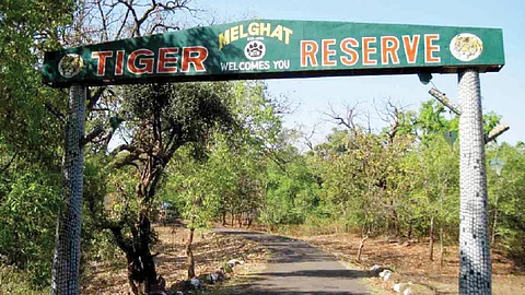 Melghat Tiger Reserve