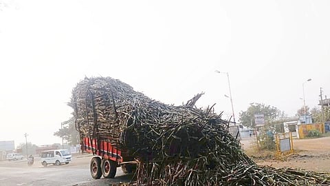 trolley full of sugarcane met with accident on Amlad road with broken axle