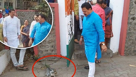 Pune Bypoll Election