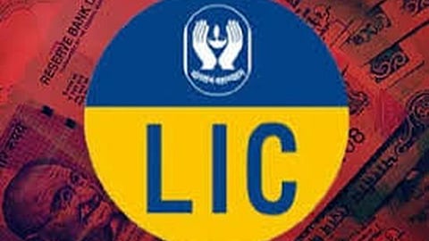 LIC Policy