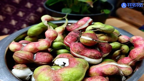 Health Tips in marathi