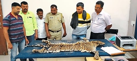 Deola police trap suspect who was selling leopard skin