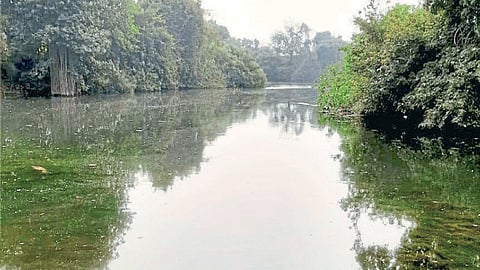 Manganga River
