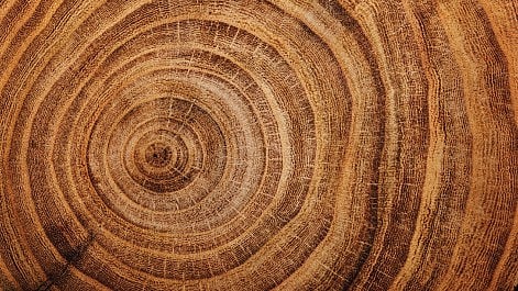 Swasthyam 2023 reduce mobile use How to measure age of tree Cypress tree Great Grandfather