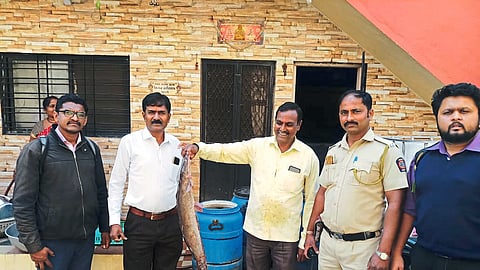 While confiscating Magur fish stock, Deputy Commissioner Sanjay Wategaonkar, Pawan Kale, Vs. A. Lahare, Ganesh Gosavi, Sudam trees.