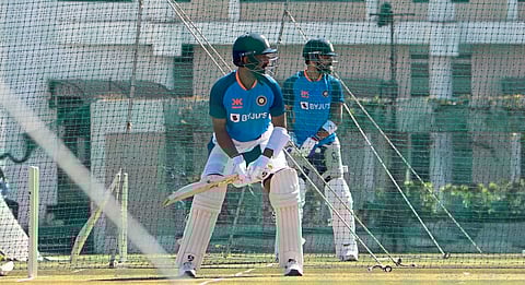 Cricket