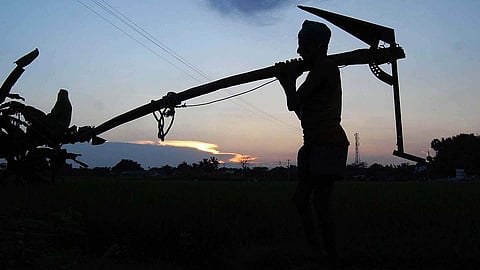 राज्यात दररोज ८ शेतकऱ्यांची आत्महत्या; ७ महिन्यांत १७१७ आत्महत्या; ७७३ कुटुंबांना मदत नाहीच