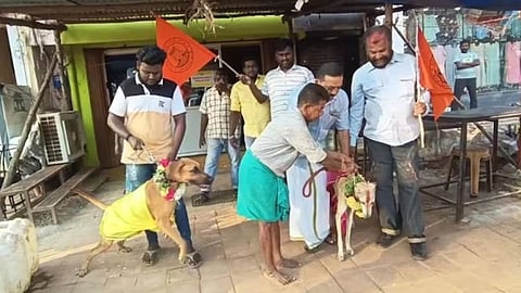 Valentine's Day Special