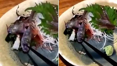Viral Shocking Video