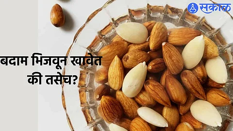 Almond Day 2023