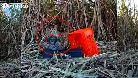 CCTV Footage