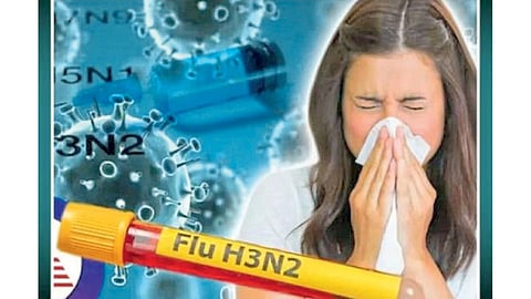 Flu H3N2