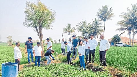 A delegation from Italy visiting Pramod Aher's watermelon and onion farm here.