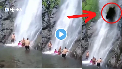 Viral Video