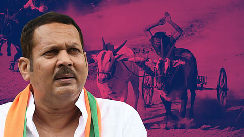 Udayanraje Bhosale Birthday Bullock Cart Race