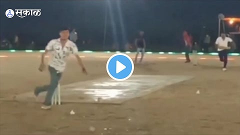 Cricket Viral Video
