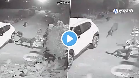 CCTV Footage
