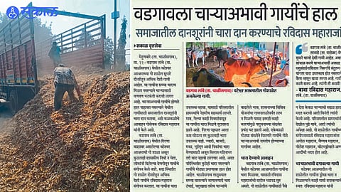 Workers unloading kutti fodder sent by donors for cows. and
The report of Wateswar Goshale published in the 23rd February issue of 'Sakal'.