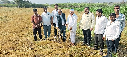 जुन्नरमध्ये पंचनामे सुरू