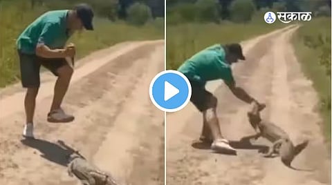 Viral Video