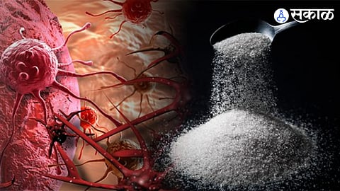 Sugar & Cancer : साखर खाल्ल्याने कॅन्सर होऊ शकतो? अमेरिकेन रिसर्च कंपनीचा रिपोर्ट काय सांगतो?