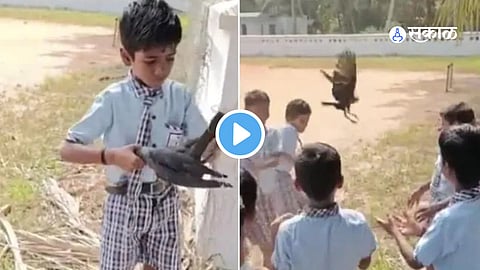 Viral Video
