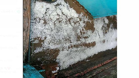 Junnar Tahsil Hail Storm