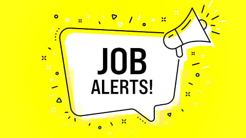 Job Alert