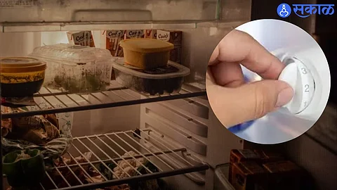 Fridge Caring Tips