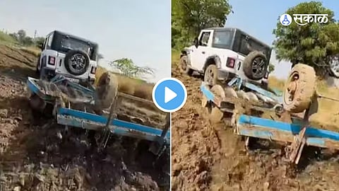 Viral Video