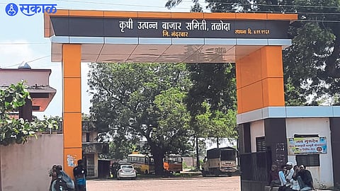 Market Committee Election