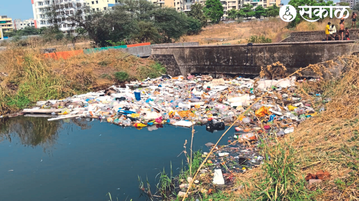 Plastic waste floating in the canal.