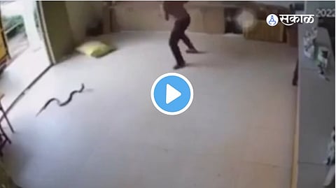 Viral Video