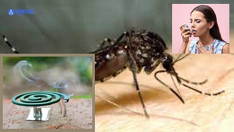 Mosquito Coil Hazards